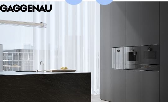 Testa Bruciatore Gaggenau Per Fornello - Ricambio Originale 00323181 / 323181 - Foto 4